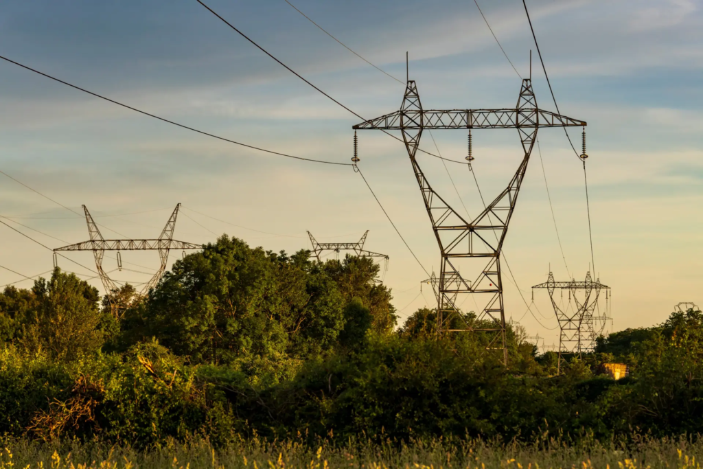 Lignes électriques à haute tension traversant une zone boisée au coucher du soleil