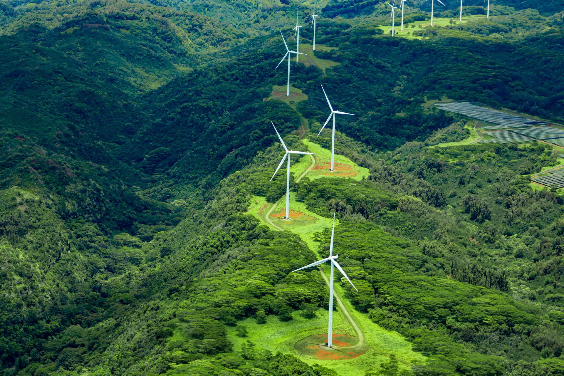 Coline verte recouverte de forêts, avec des éoliennes en son centre.