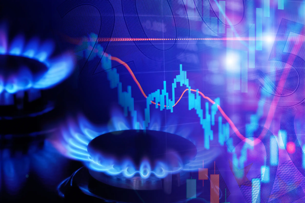 Image composite figurant le marché du gaz en France : producteurs, fournisseurs et gestionnaires de réseau