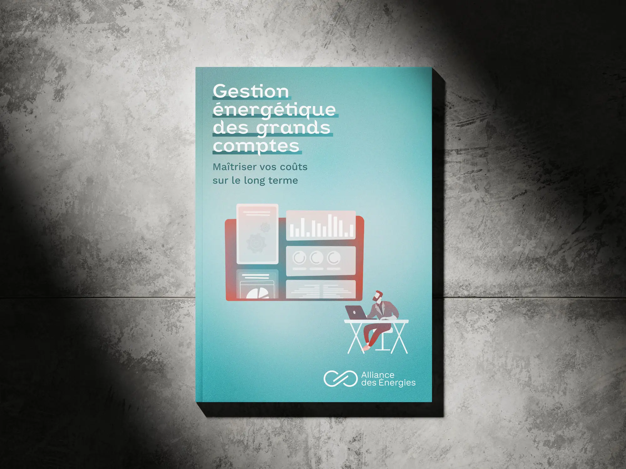 Gestion énergétique des grands comptes